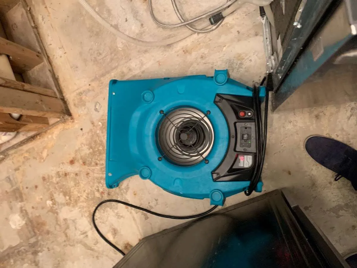 Air mover drying equipment for Mold Remediation & Removal in Ballston